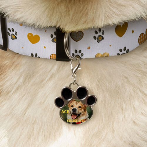 Medaglietta Per Collare Cane E Gatto - Acciaio Inox Personalizzabile Con Design Margherita - Foto 7